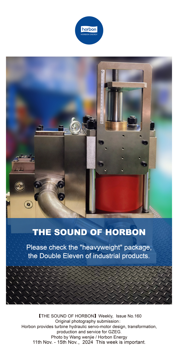 【和之声】请查收“重量级”包裹，，，工业品的双十一。。。(总第160期）-2024.11.11-11英文改小季度推送用.jpg