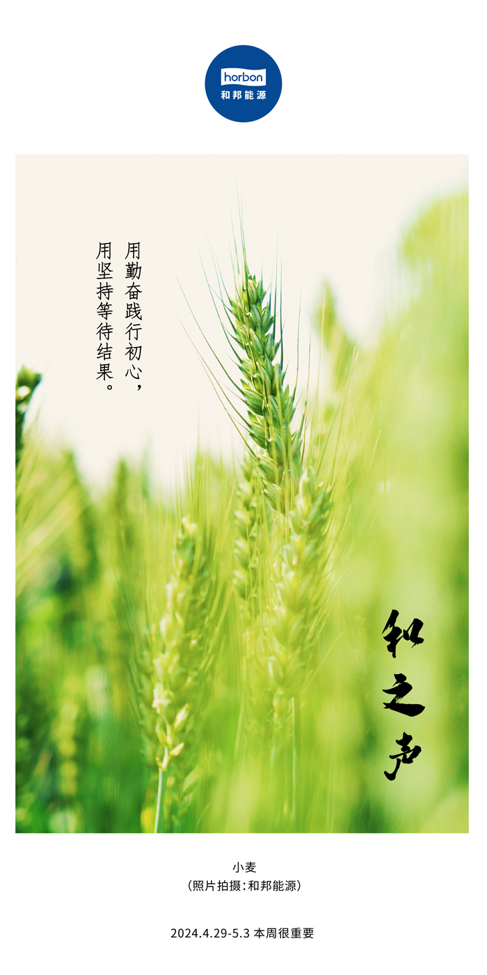 【和之声】用勤劳践行初心，，，，，，用坚持期待效果。。。（总第132期）2024.4.29-5中文改小季度推送用.jpg
