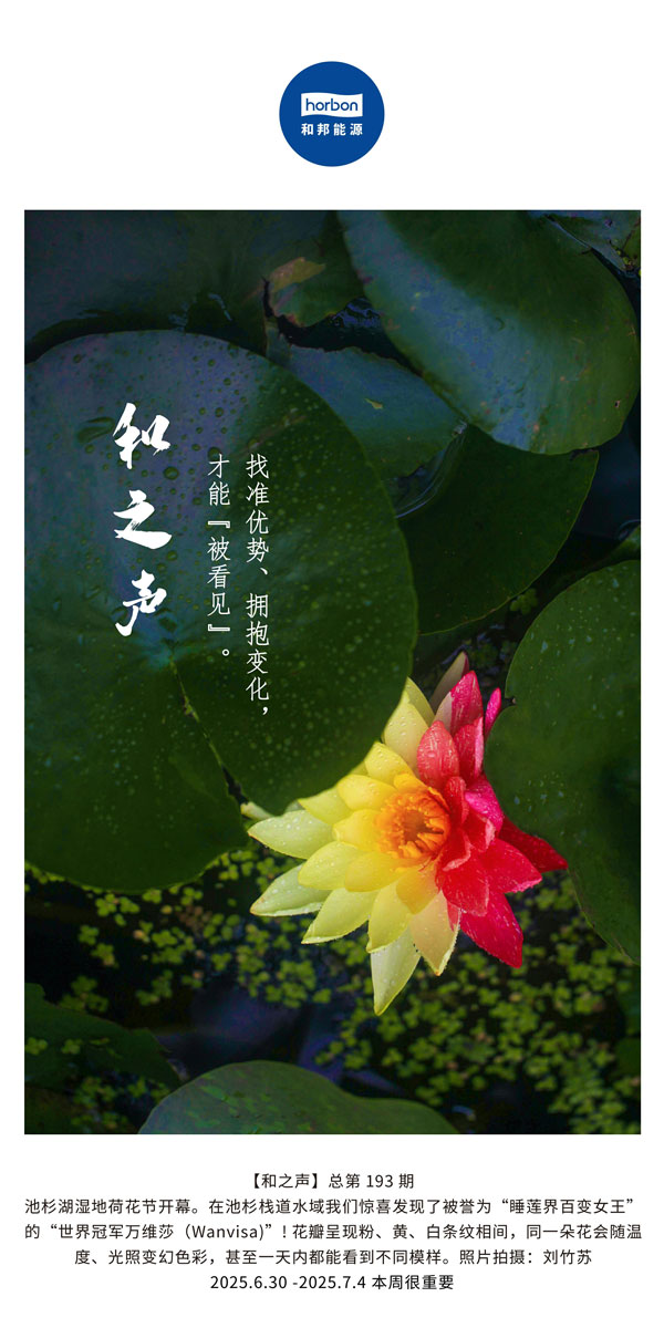 【和之声】找准优势、拥抱转变，，，，，才华“被望见”。。。。(总第193期）--2025.6中文导出季度推送用.jpg