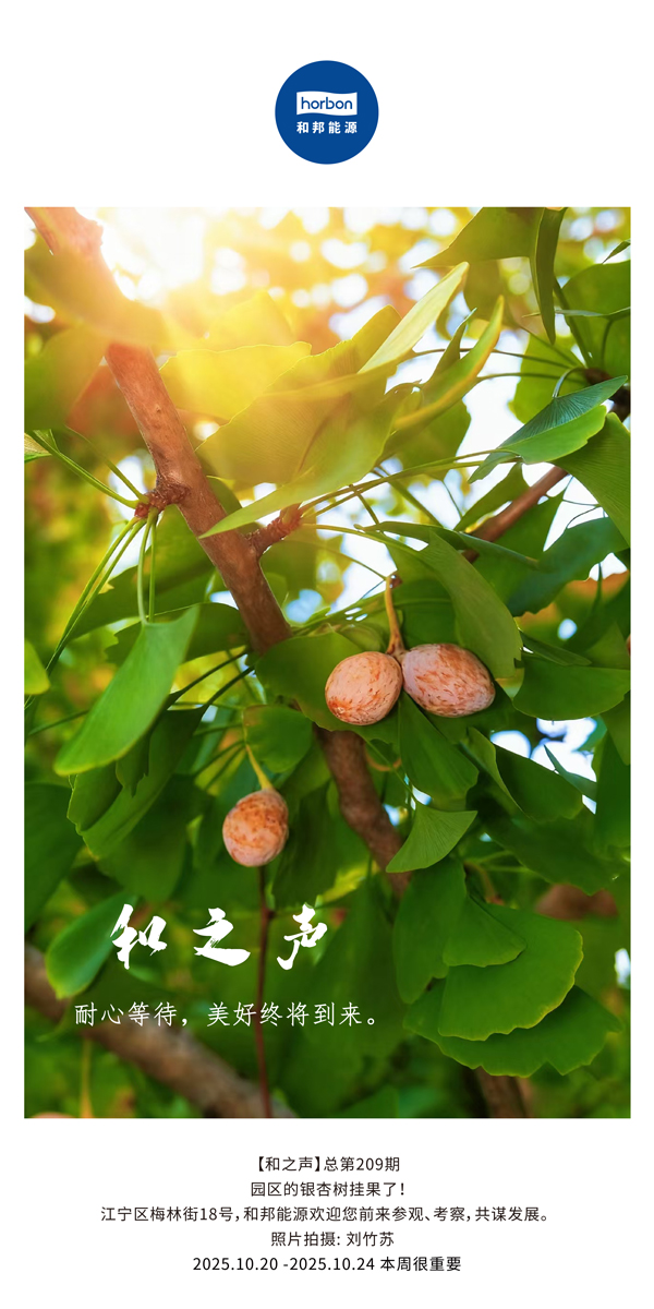 【和之声】耐心期待，，，，，优美终将到来。。。。-(总第209期）2025.10.20中文导出季度推送用.jpg